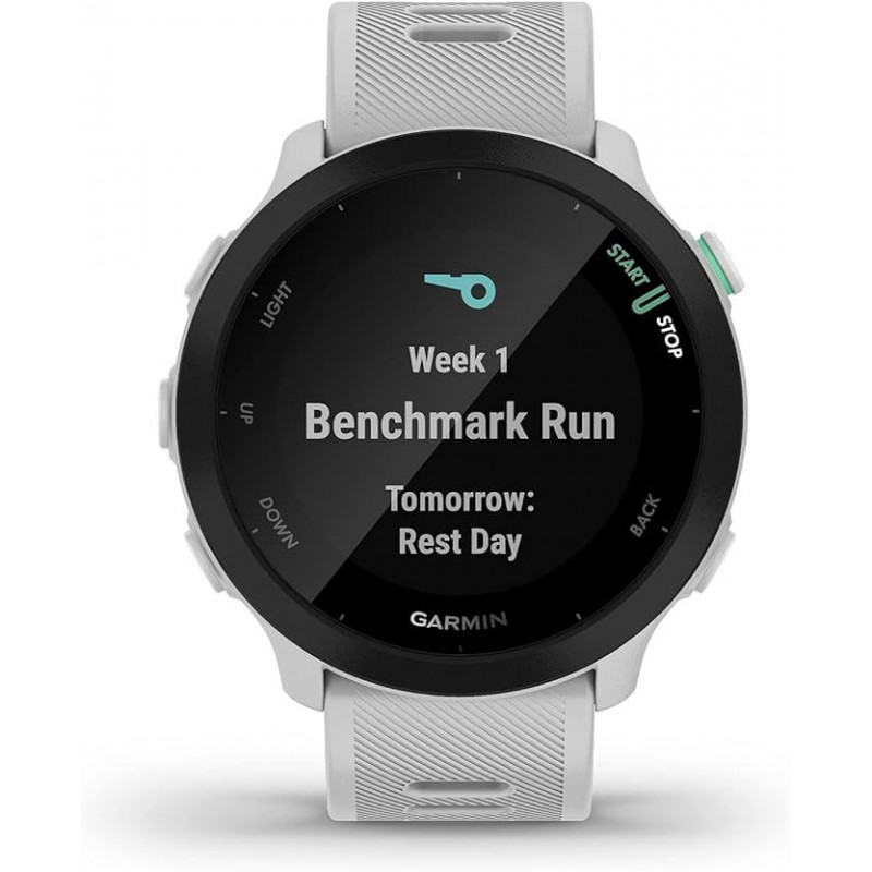 Garmin Forerunner 55 - Whitestone